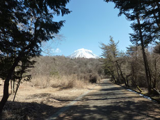 和室からの富士羨望