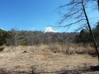 和室からの富士羨望