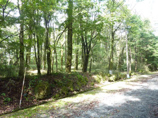 前面道路左側より